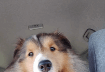 令和7年 54ヶ月 元気 元気