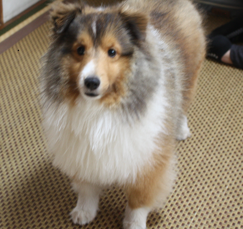 スクリーンショット 2025-10-25 085118