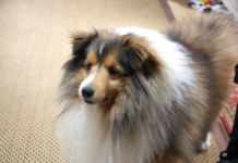 令和7年 58ヶ月 おやつ食べ過ぎ